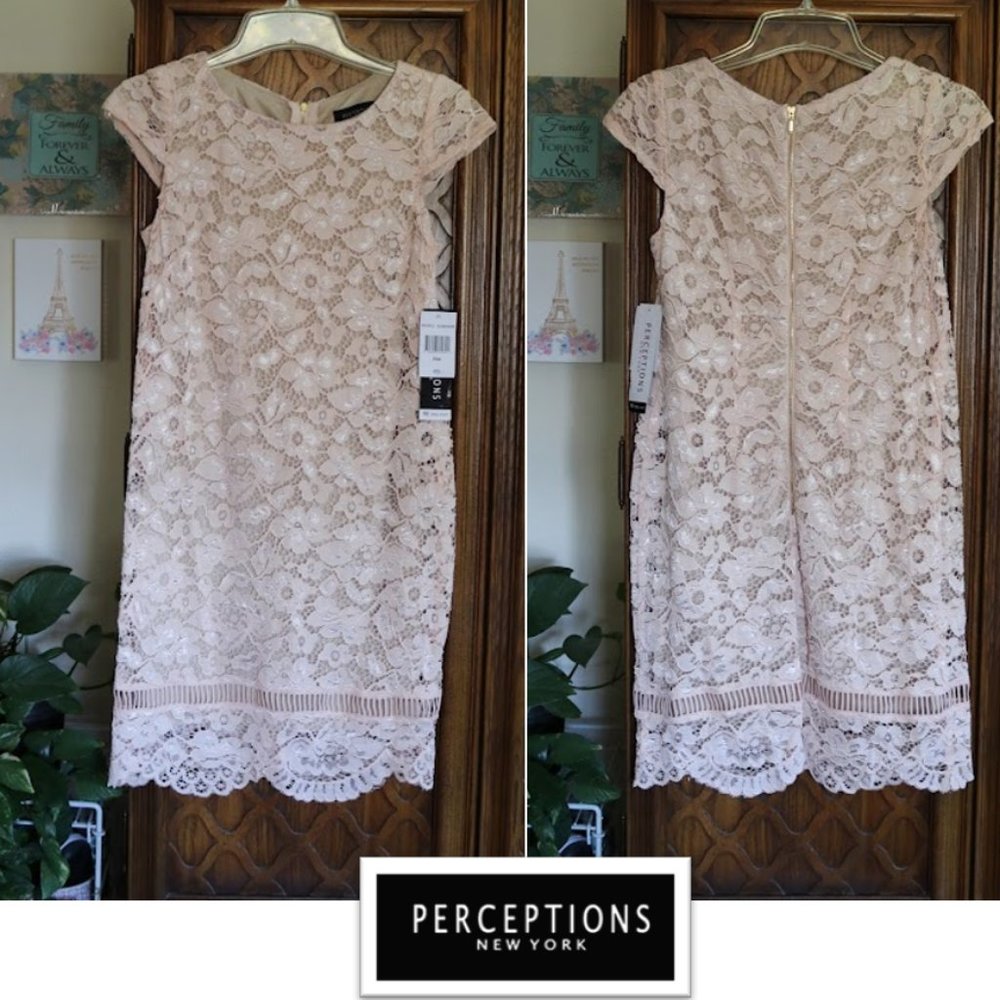 PERCEPTIONS New York Blush Nude Lace Sheath Dress - NWT! - Picture 16 of 16